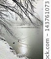 Snowy Karuizawa - Thin ice and waterfowl floating on the pond at Yagasaki Park. 143761073