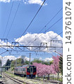 A Shinano Railway train, a local line, heads west towards Nakakaruizawa Station, passing by a blue sky and double-flowered cherry blossoms in full bloom. 143761074