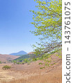 A view of the blue sky, early summer Mount Tateshina, and lush green trees from the Odoriba Marshland in Kirigamine Plateau. 143761075