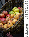Autumn Harvest Still Life with Apples and Pears. Rural market stand with fresh fruits in wicker basket. Healthy food background. Juicy apples and pears in garden. October harvest. Fall harvest. 143761149