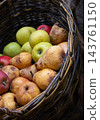 Autumn Harvest Still Life with Apples and Pears. Rural market stand with fresh fruits in wicker basket. Healthy food background. Juicy apples and pears in garden. October harvest. Fall harvest. 143761150