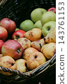 Autumn Harvest Still Life with Apples and Pears. Rural market stand with fresh fruits in wicker basket. Healthy food background. Juicy apples and pears in garden. October harvest. Fall harvest. 143761153