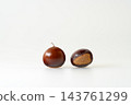 Shiny chestnuts fresh out of their burrs. White background. Copy space. 143761299