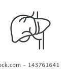 Liver Icon. Internal Organ Anatomy. Thin Line Digestive System Vector Illustration. Isolated Medical Outline Symbol 143761641