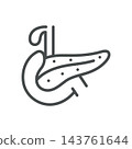 Pancreas Icon. Digestive Gland Duodenum Anatomy. Thin Line Medical Vector Illustration. Isolated Outline Symbol 143761644