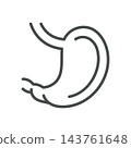 Stomach Icon. Human Digestive Organ Anatomy. Thin Line Medical Vector Illustration. Isolated Outline Symbol 143761648