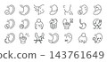 Stomach Disorders Vector Icons Set. Acid Reflux Gastritis Heartburn Nausea. Thin Line Medical Outline Collection 143761649