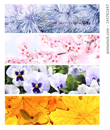 Four season of year. Set of horizontal nature banners. Each one features scene of nature, from the gentle snowfall of winter to the vibrant leaves of summer. Perfect for showcasing changing seasons 143761847