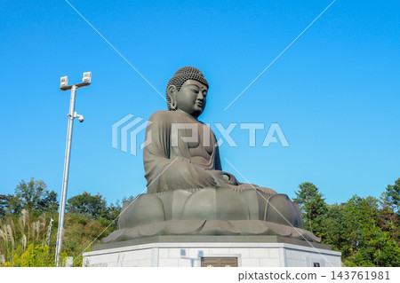 東京,秋天,日之出町,鹿野大佛 東京,秋天,日之出町,鹿野大佛 143761981