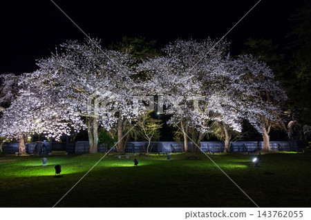 秋田縣仙北市的春天:角館武士宅邸街,日本100個最佳賞櫻地點之一,夜晚櫻花在燈光的映襯下更顯迷人。 秋田縣仙北市的春天:角館武士宅邸街,日本100個最佳賞櫻地點之一,夜晚櫻花在燈光的映襯下更顯迷人。 143762055