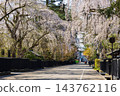 Springtime in Semboku City, Akita Prefecture: Kakunodate Samurai Residence Street, one of Japan's Top 100 Cherry Blossom Viewing Spots, with cherry blossoms in full bloom. 143762116