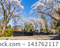 Springtime in Semboku City, Akita Prefecture: Kakunodate Samurai Residence Street, one of Japan's Top 100 Cherry Blossom Viewing Spots, with cherry blossoms in full bloom. 143762117