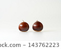 Shiny chestnuts fresh out of their burrs. White background. Copy space. 143762223