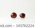 Shiny chestnuts fresh out of their burrs. White background. Copy space. 143762224