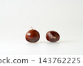 Shiny chestnuts fresh out of their burrs. White background. Copy space. 143762225