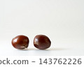 Shiny chestnuts fresh out of their burrs. White background. Copy space. 143762226
