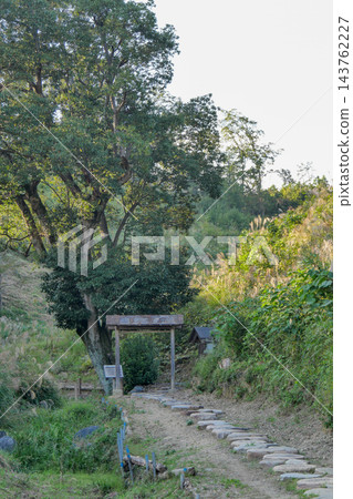 東京,秋天,日出町,鹿野大佛(鹿野溫泉大佛),鹿之湯溫泉遺址 東京,秋天,日出町,鹿野大佛(鹿野溫泉大佛),鹿之湯溫泉遺址 143762227