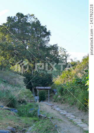 東京,秋天,日出町,鹿野大佛(鹿野溫泉大佛),鹿之湯溫泉遺址 東京,秋天,日出町,鹿野大佛(鹿野溫泉大佛),鹿之湯溫泉遺址 143762228