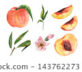 Watercolor peach illustration collection with whole and sliced fruit, green leafy branches and pink blossoms, realistic botanical artwork for food packaging, recipes and summer designs 143762273