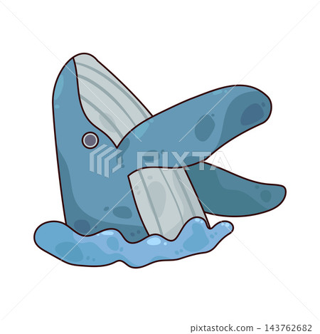 Illustration of Whale  143762682