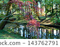 Autumn scenery - Pond 143762791