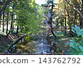 Autumn scenery - Pond 143762792
