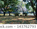 Autumn scenery - Pond 143762793
