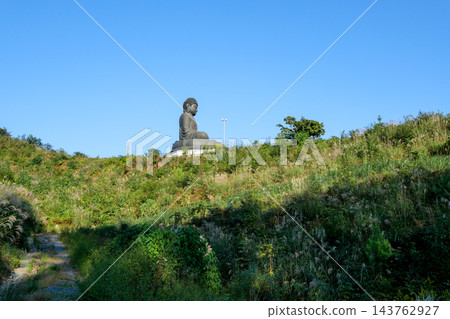 東京,秋天,日之出町,從西邊看鹿野大佛 東京,秋天,日之出町,從西邊看鹿野大佛 143762927