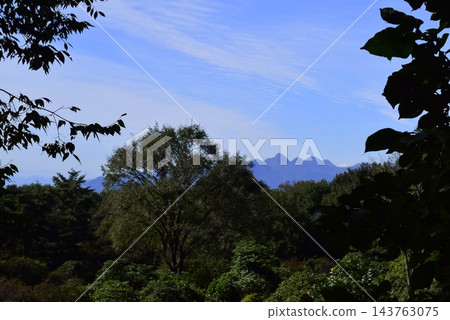 從群馬縣公園內可以看到藍天 從群馬縣公園內可以看到藍天 143763075