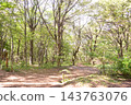 Gunma Park Promenade 143763076