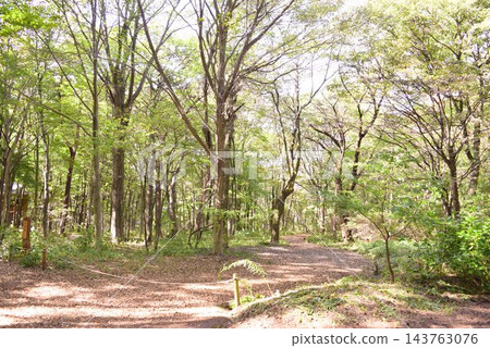 群馬公園長廊 群馬公園長廊 143763076