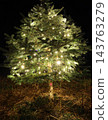 Christmas tree illuminated at night with warm lights 143763279