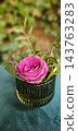 A vibrant pink rose with delicate layered petals and green foliage 143763283
