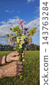 Close-up of hands holding a colorful bouquet of wildflowers 143763284