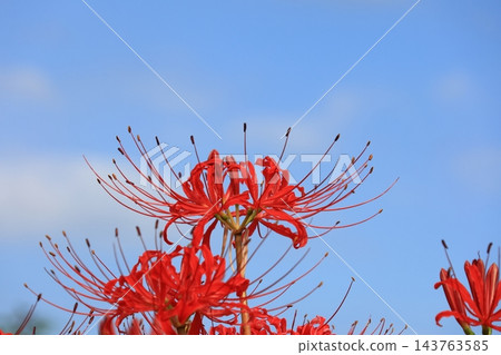 另一邊,一條紅線伸向天空。 另一邊,一條紅線伸向天空。 143763585