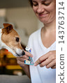 Woman preparing toothbrush with toothpaste for for dog teeth cleaning 143763714