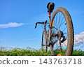 Low angle view of a gravel bike standing on grass under a bright blue sky. 143763718