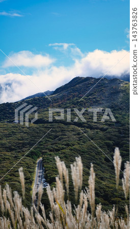 從潘帕斯草原看到的風景 從潘帕斯草原看到的風景 143763826
