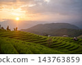 Sunset over Green Terraced Rice Fields at Pa Bong Piang 143763859