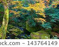 山谷裡滿是秋葉和苔蘚。 143764149