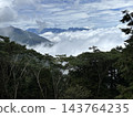 台灣，太平山，三晴古道 143764235