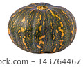 Ripe Speckled Pumpkin Isolated on White Background. Fresh Green and Orange Kabocha Squash. 143764467