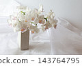 白色蝴蝶蘭花 143764795