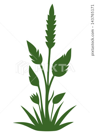 Green weed plant silhouette, isolated illustration 143765171