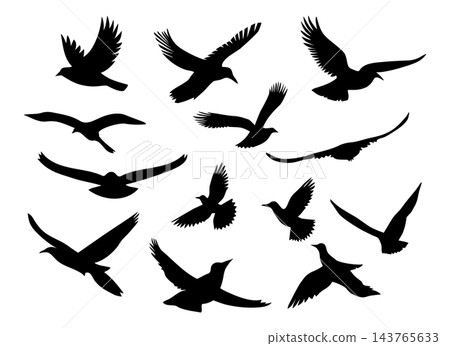 Black flying birds flock silhouette, isolated illustration Black flying birds flock silhouette, isolated illustration 143765633