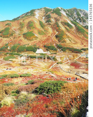 富山縣立山市賴鳥澤秋色，十月 143765836