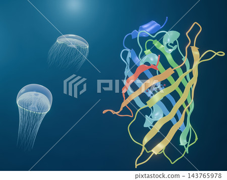 海洋中的水母（維多利亞多管發光水母）的 3DCG 模型和 GFP（綠色螢光蛋白）帶。 143765978