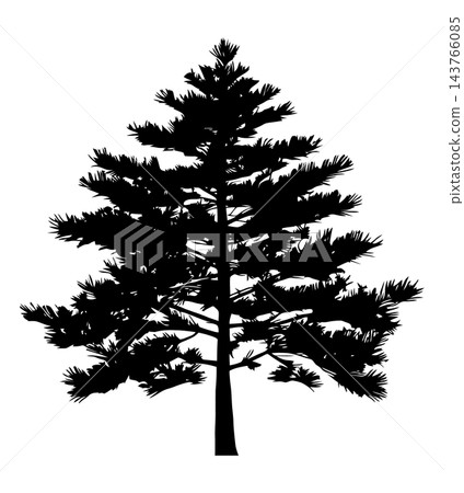 Black thick pine tree silhouette, isolated illustration Black thick pine tree silhouette, isolated illustration 143766085