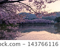 長野縣六道堤岸:盛開的高戶小彼岸櫻花沐浴在黎明的靜謐中,倒映在水面上。 長野縣六道堤岸:盛開的高戶小彼岸櫻花沐浴在黎明的靜謐中,倒映在水面上。 143766116