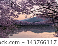 長野縣六道堤岸:盛開的高戶小彼岸櫻花沐浴在黎明的靜謐中,倒映在水面上。 長野縣六道堤岸:盛開的高戶小彼岸櫻花沐浴在黎明的靜謐中,倒映在水面上。 143766117